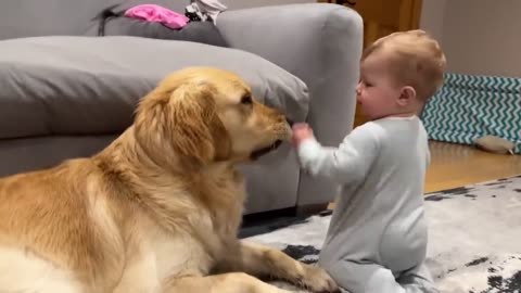 Cute baby scare with cute dogs