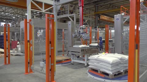 Complete packaging line for Seeds, "Gr liton Tech"