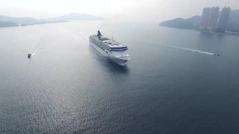 Sailing into Luxury: The World of Cruise Ships