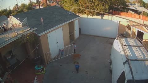 Toddler Gets Whacked by Closing Fence