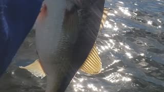 Winter bass fishing