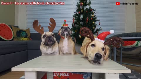 My French Bulldogs and a Golden Retriever eat a full course Christmas dinner ㅣASMR DOG