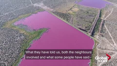 Why have two Argentina lakes turned pink? Environmentalists say it is because of pollution