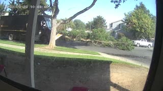UPS Truck Takes Out Tree Branch