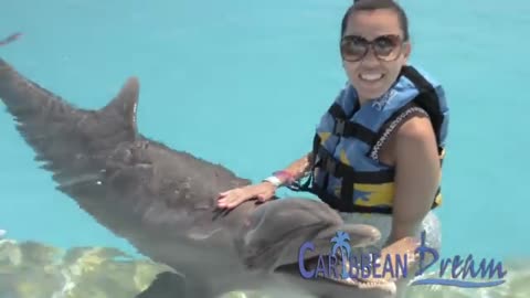 Dolphin Encounter - Punta Cana Tours_Cut