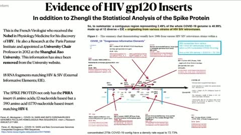 Dr. Richard Fleming shares Luc Montagnier’s discovery on HIV and spike protein.