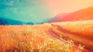 1 Hour Acoustic Relaxing Music for Relaxation, Sleep, Study & Work 🔴