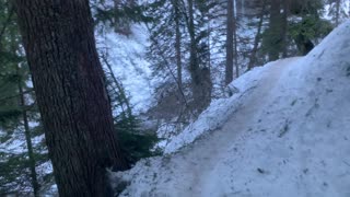 Narrow, Icy Ridgeline Trail Above River – Tamanawas Falls – Mount Hood – Oregon – 4K