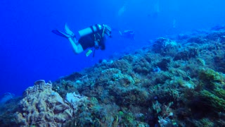 Cozumel SCUBA Diving Punta Tunich Drift Diving