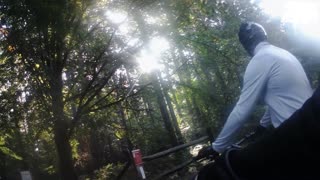 Bedgebury Forest trails