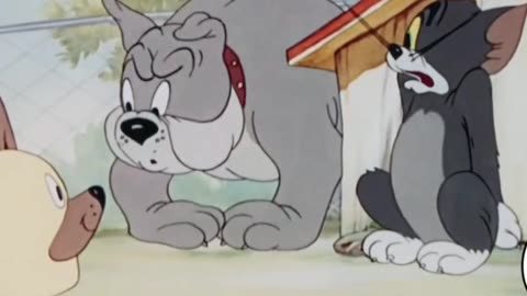 Tom and Jerry Funny