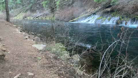 INCREDIBLE Shoreline River Hike – Metolius River – Central Oregon – 4K