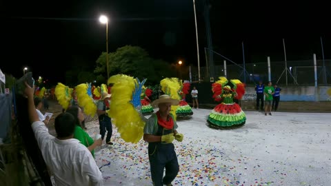 Video 13 Carnaval 2024 Federacion Entre Rios Argentina #carnaval #argentina #fiesta #samba