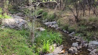 Watchbox Creek