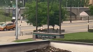 Territorial Birds Defend Their Trees