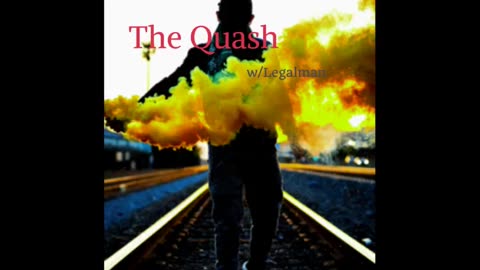 Nobody can tell you what the constitution means - The Quash LEGALMAN