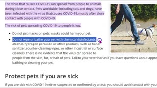 Mary Greeley News-Covid 19 And Pets From the CDC, Yes, They Can Catch It From Us