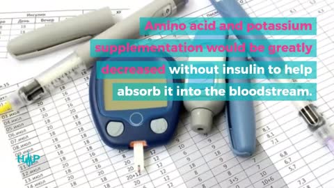 The Different Body Parts Insulin Stimulates