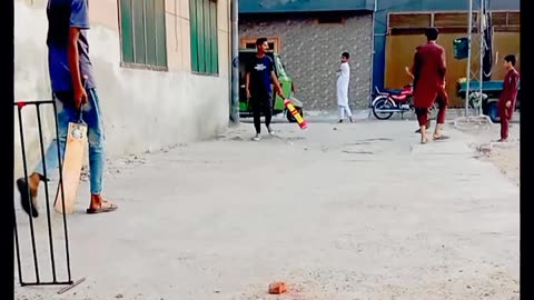 Street cricket part 3 test match