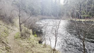 West Metolius River Trail to Candle Creek Campground – Central Oregon – 4K