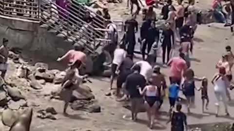 Sea lions chase awaybeachgoers in San Diego