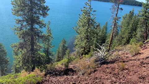 Central Oregon – Paulina Lake “Grand Loop” – Looking Down Steep Hillside – 4K