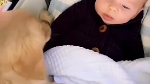 How cute? 🐶👶