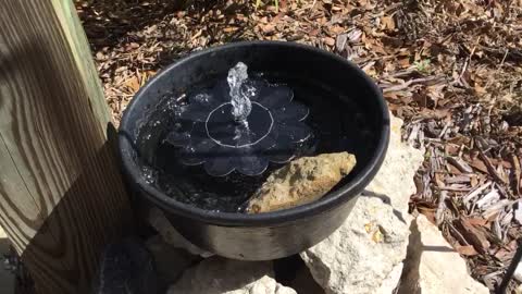 Relaxing Water Fountain Sound And Perfect Timing Military Pilots Above 🥰🇺🇸