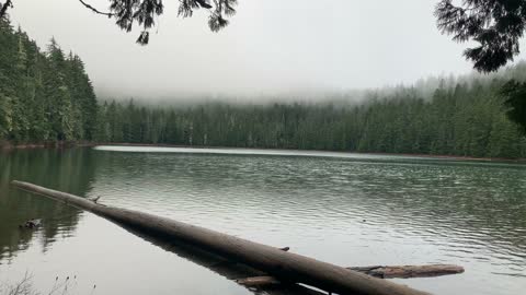 Oregon – Mount Hood National Forest – Lower Twin Lake Surrounded by Thick Fog – 4K