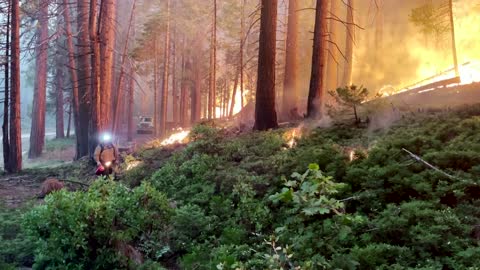 Firefighters backburn to contain Yosemite wildfire