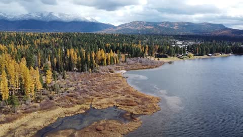 Tamarack Colors Via Drone Over Seeley Lake Montana