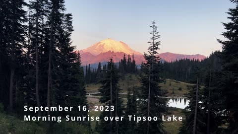 SERENE SUNRISE Lighting Up Mount Rainier Framed Above Tipsoo Lake! | Chinook Pass | Washington | 4K