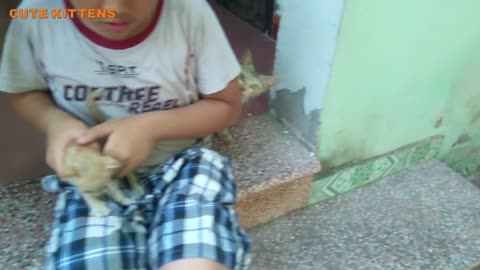 Super unique! Mother cat take back the baby kittens from the boy