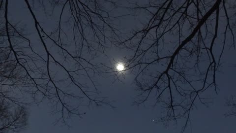 My Eclipse View From the Center of the Path at Zalma Missouri