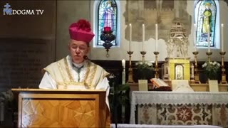 Bishop Athanasius Schneider—German Bishops Act Schizophrenic (8 of 13)