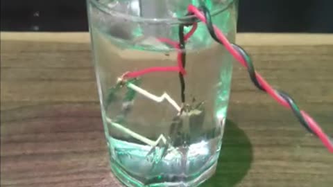 Simple water Heating