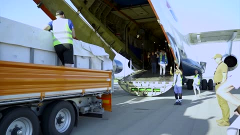 Beluga whales evacuated to Spain from war-torn Kharkiv