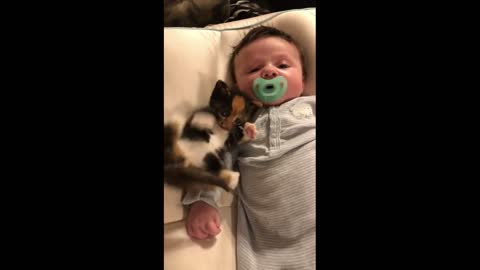 Cats and babies are best friends – Cute baby & cat compilation