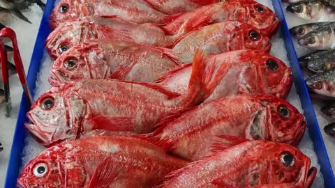7 Kinds of Fish You Should Never Eat
