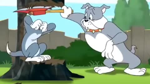 Tom and Jerry cartoon video new comedy video