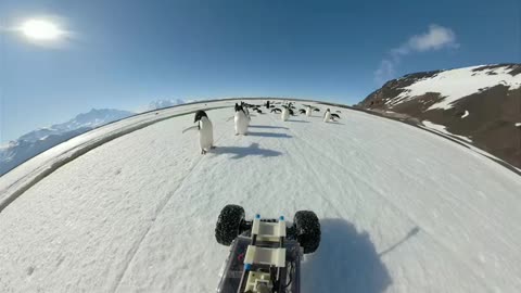 Penguin Rover 360 Video with Gopro Fusion