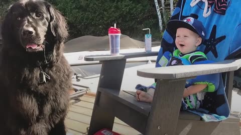 Massive Dog Takes Care Of His Favorite Little Boy | The Dodo Soulmates