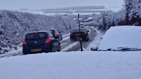 Husky Gets Stuck In The Snow!