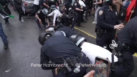 Palestinian supporters held a rally in Brooklyn