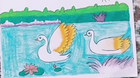 Swan swimming in water scenery # like # share # subscribe