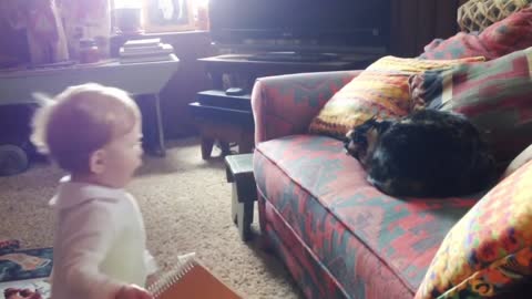 Little girl challenges little black cat