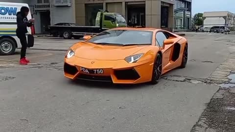 this lambo stole the show