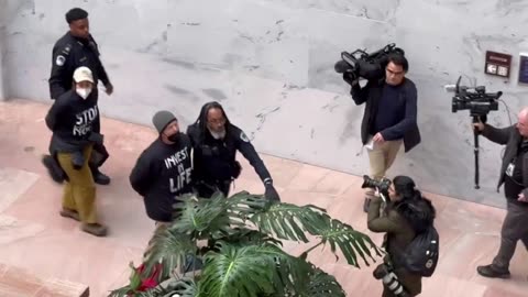 Dozens of pro-Palestine protestors arrested inside Hart Senate Office