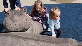 Hippos in Cincy