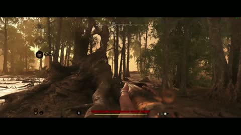 Hunt: Showdown - Too cocky at exit
